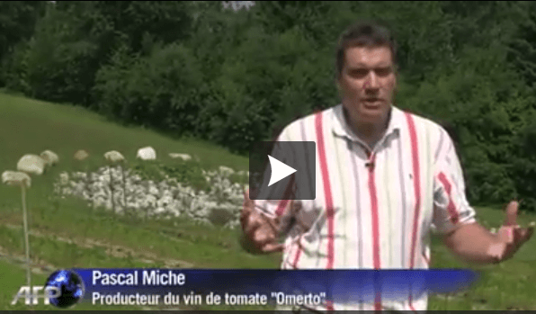 pascal-miche-producteur-premier-vin-de-tomate