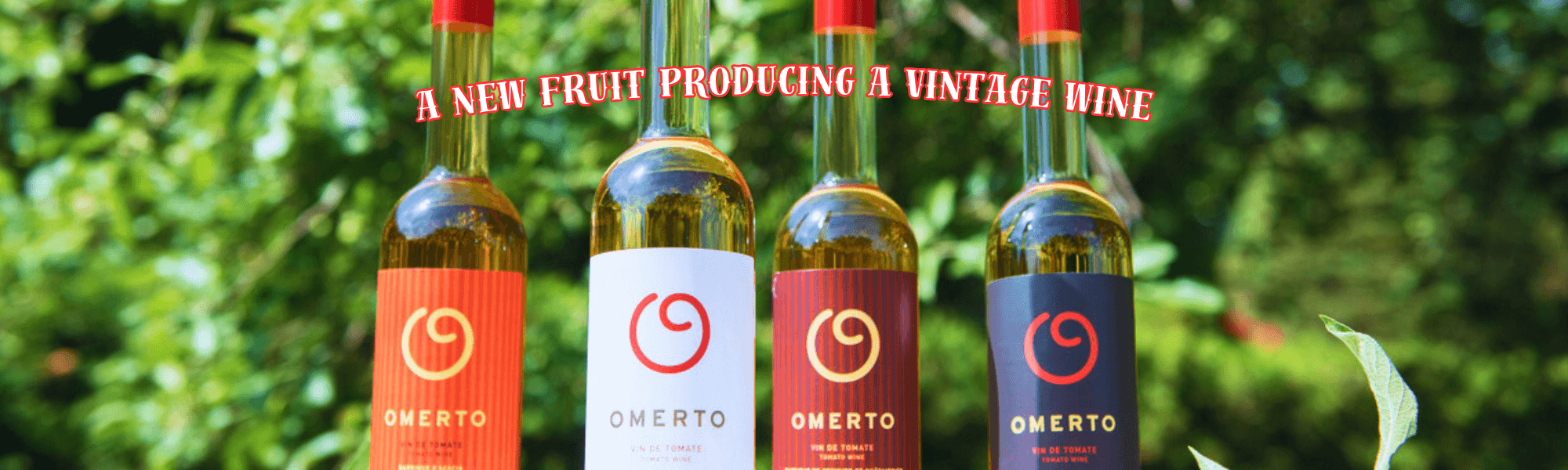 Omerto (2000 x 600 px) anglais